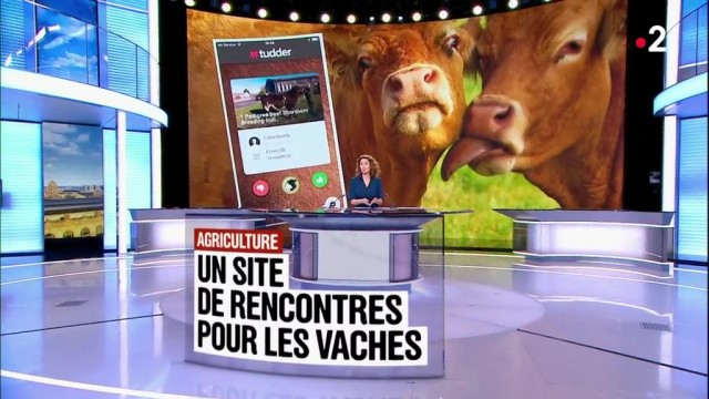 http://tof.cx/images/2019/02/27/2b38959717812169521539d9ee715bfe.md.jpg