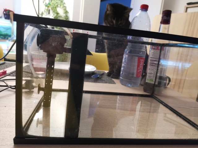 http://tof.cx/images/2019/12/02/9d0ec15d073d8af6f52de6af8ef4ae15.md.jpg