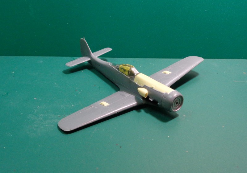 [Tamiya] 1/72 - Focke-Wulf Fw 190 D-11 (fw190) D498a679840f4816d942d41535f14e3f