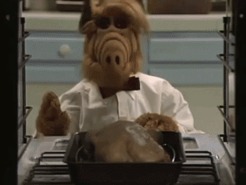 alf oven (2)